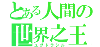 とある人間の世界之王（ユグドラシル）