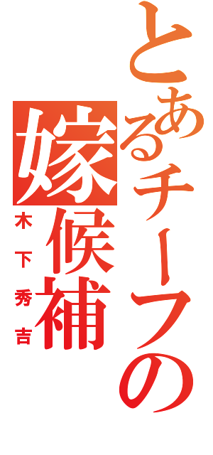 とあるチーフの嫁候補（木下秀吉）