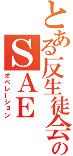 とある反生徒会のＳＡＥ（オペレーション）