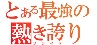 とある最強の熱き誇り（プライド）