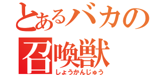 とあるバカの召喚獣（しょうかんじゅう）