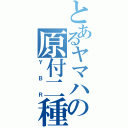 とあるヤマハの原付二種（ＹＢＲ）