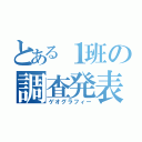 とある１班の調査発表（ゲオグラフィー）