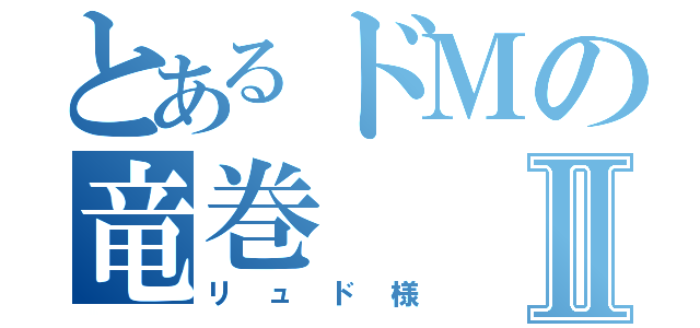 とあるドＭの竜巻Ⅱ（リュド様）