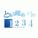 とある魔術１２３４５６７８９０１２３４５６７８９０１２３４５６７８９０の１２３４５６７８９０（インデックス）