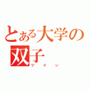 とある大学の双子（ツイン）