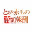 とある赤毛の高額報酬（アカゲレンメイ）