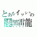 とあるイッシュの漆黒雷龍（ゼクロム）