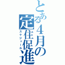 とある４月の定住促進（スケジュール）