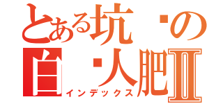 とある坑爹の白鸟人肥猫Ⅱ（インデックス）