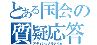 とある国会の質疑応答（アディショナルタイム）