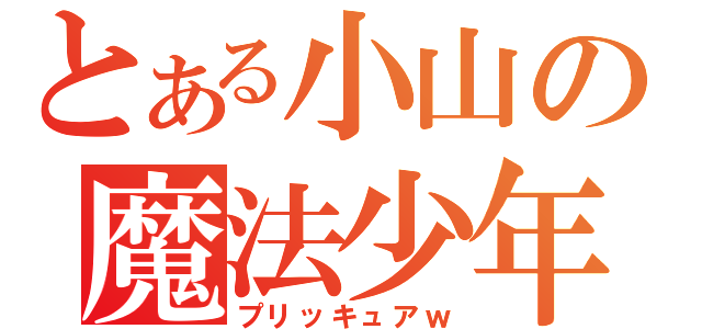 とある小山の魔法少年（プリッキュアｗ）