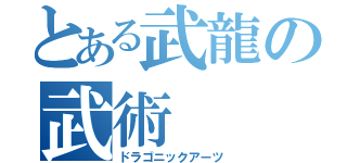 とある武龍の武術（ドラゴニックアーツ）