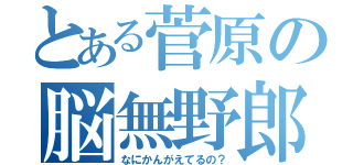 とある菅原の脳無野郎（なにかんがえてるの？）