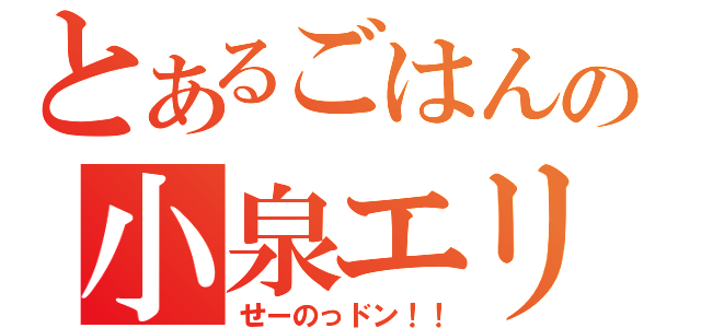 とあるごはんの小泉エリ（せーのっドン！！）