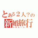 とある２人？の新婚旅行（ハネムーン）