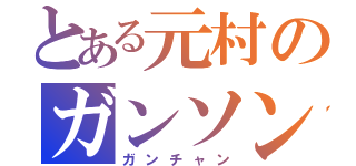 とある元村のガンソン（ガンチャン）