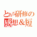 とある研修の感想＆短歌（）