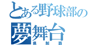 とある野球部の夢舞台（県制覇）