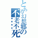 とある幻想郷の不老不死（藤原妹紅）