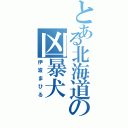 とある北海道の凶暴犬（伊波まひる）