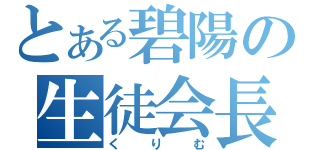 とある碧陽の生徒会長（くりむ）