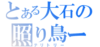 とある大石の照り鳥ー（テリトリー）