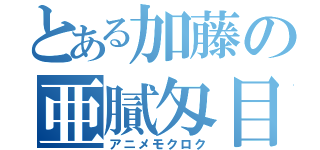 とある加藤の亜膩匁目録（アニメモクロク）