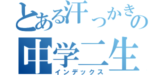 とある汗っかきの中学二生（インデックス）