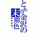 とある金沢の末期色（経費節減！）