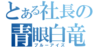 とある社長の青眼白竜（ブルーアイズ）