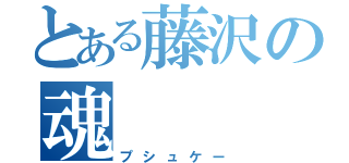 とある藤沢の魂（プシュケー）