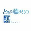 とある藤沢の魂（プシュケー）