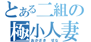 とある二組の極小人妻（おかざき せな）