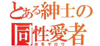 とある紳士の同性愛者（ホモヤロウ）