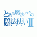 とある魔法の森の魔法使いⅡ（魔理沙）