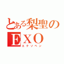 とある梨聖のＥＸＯ（エクソペン）