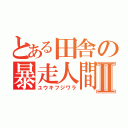 とある田舎の暴走人間Ⅱ（ユウキフジワラ）