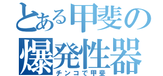 とある甲斐の爆発性器（チンコで甲斐）