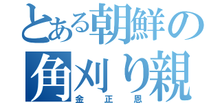 とある朝鮮の角刈り親父（金正恩）