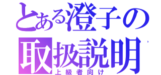 とある澄子の取扱説明書（上級者向け）