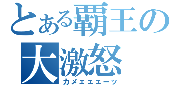 とある覇王の大激怒（カメェェェーッ）