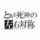 とある死神の左右対称（シンメトリー）