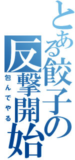 とある餃子の反撃開始（包んでやる）