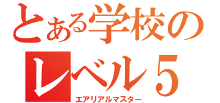 とある学校のレベル５（エアリアルマスター）