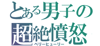 とある男子の超絶憤怒（ベリーヒューリー）