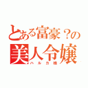 とある富豪？の美人令嬢（ハルカ様）