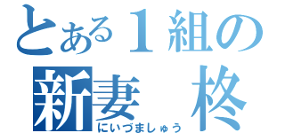 とある１組の新妻　柊（にいづましゅう）