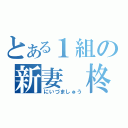 とある１組の新妻　柊（にいづましゅう）