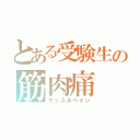 とある受験生の筋肉痛（マッスルペイン）